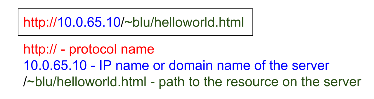 URL y las letras raras