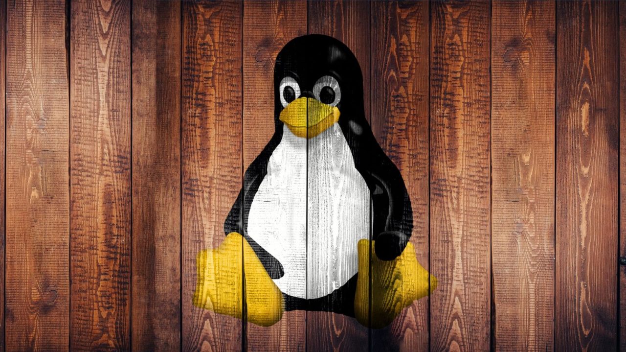 El sistema operativo Linux comienza a llegar a los consumidores